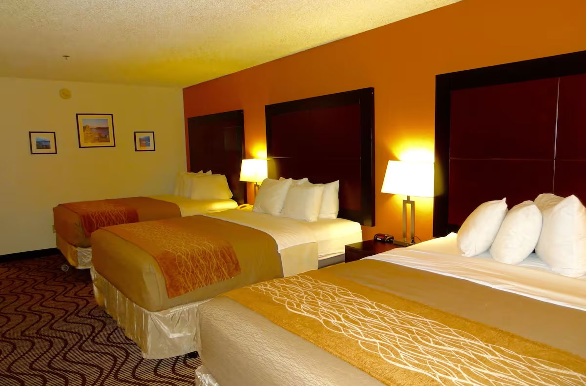 酒店客房設(shè)計細(xì)節(jié)的全面知識點解讀